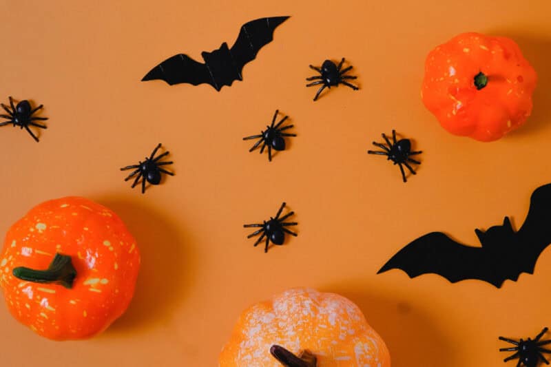 Beware of Halloween Pests