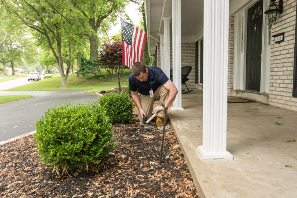 A Three Step Approach to Defeat Termites | Rottler Pest Solutions